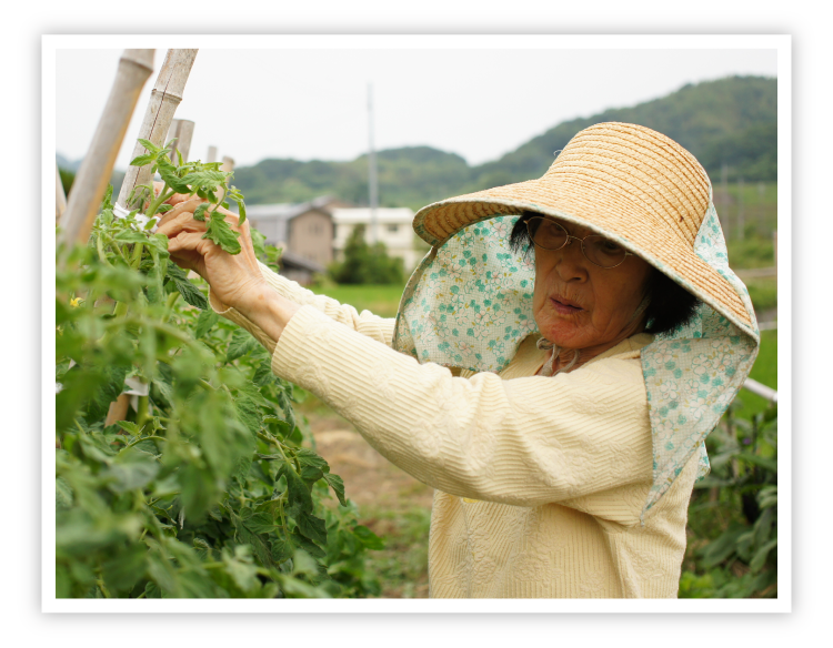 使う人・木の事も考えられた商品