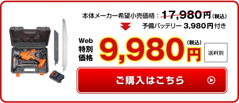 WEB特別価格9980円
